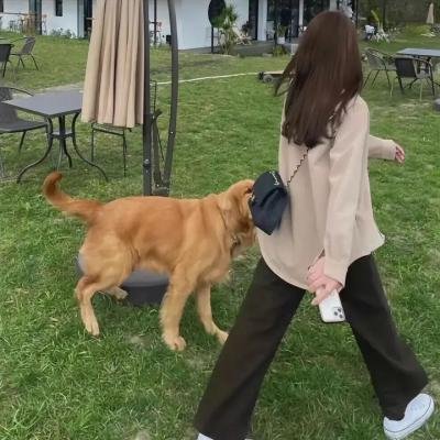 妖怪学校的新人教师