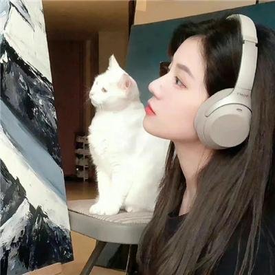 升起月光